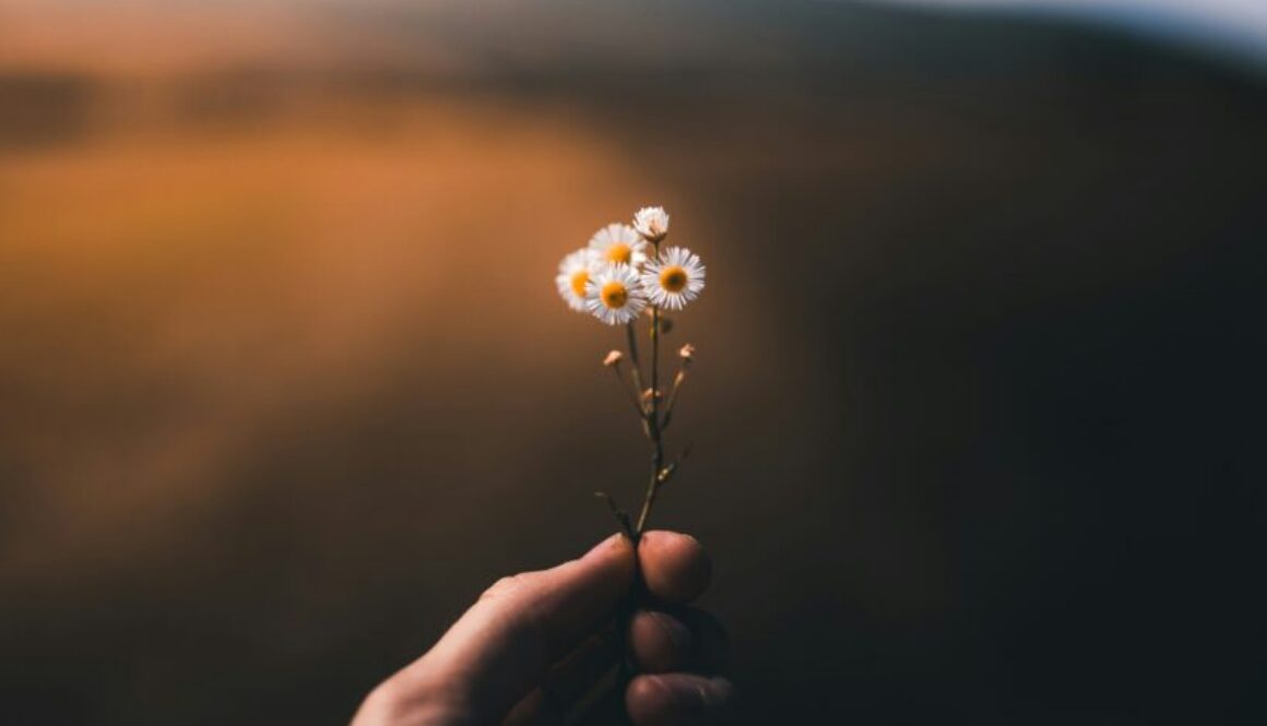 Charitable Giving in Wealth Planning