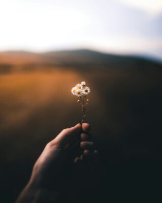 Charitable Giving in Wealth Planning