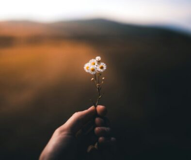 Charitable Giving in Wealth Planning